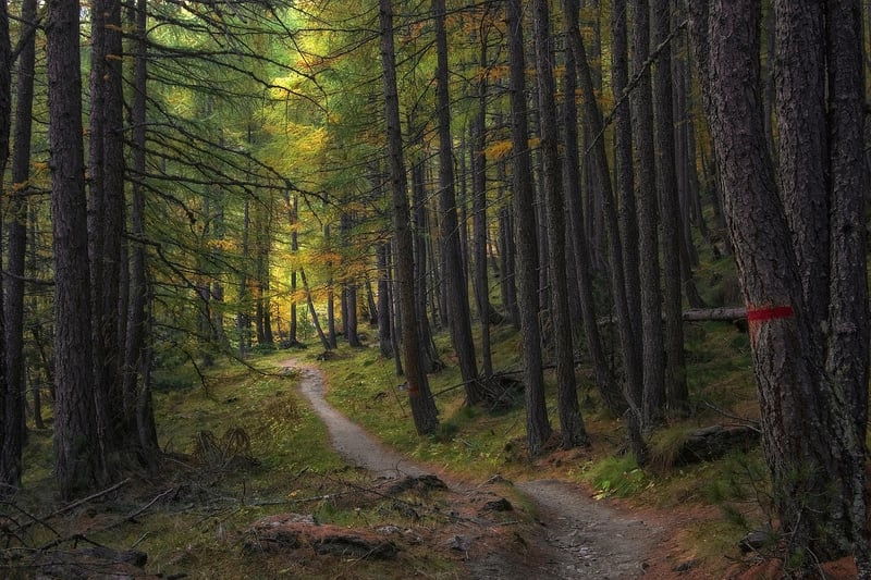 Gastronomic Trails